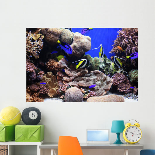 Traopical Fish Wall Mural