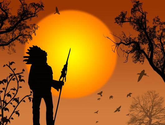 Native American Chief