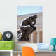 The Thinker by Rodin Wall Mural