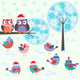 Birds and Owls Winter