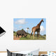 Rhino and Giraffe Interaction Wall Mural