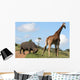 Rhino and Giraffe Interaction Wall Mural