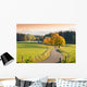 Winding Country Road through