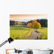 Winding Country Road through