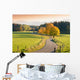 Winding Country Road through