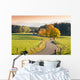 Winding Country Road through