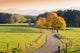 Winding Country Road through