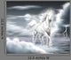 Girl's Murals Unicorn Time
