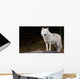 Arctic Wolf Looking at the Camera Wall Mural