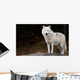 Arctic Wolf Looking at the Camera Wall Mural