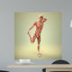 Anatomy Wall Mural