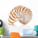 Nautilus Pompilius Sea Shell Wall Decal