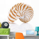 Nautilus Pompilius Sea Shell Wall Decal