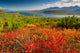 Jack London Lake