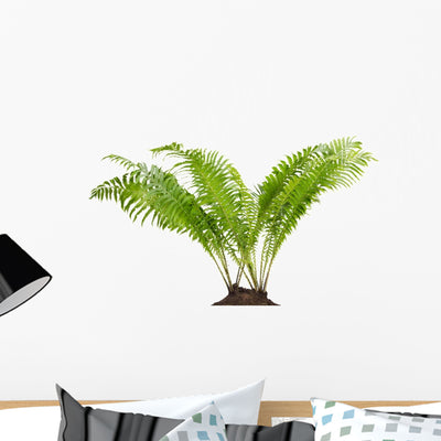 Fern Forest Real Bush Wall Decal shown on a wall