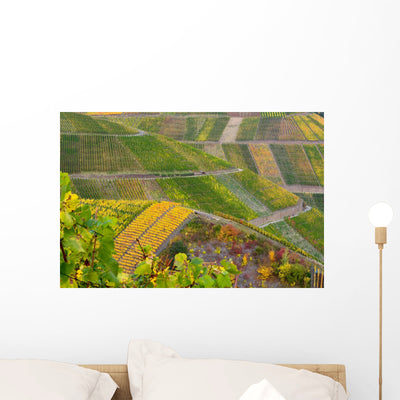 Vineyards shown on a wall