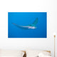 Eagle Ray Wall Mural