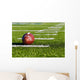 Football on Field Wall Mural