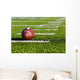 Football on Field Wall Mural