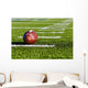 Football on Field Wall Mural
