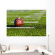 Football on Field Wall Mural