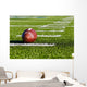 Football on Field Wall Mural