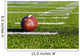 Football on Field Wall Mural