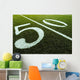 Football Field 50 Yard