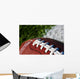 Football on Field Wall Mural