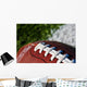 Football on Field Wall Mural