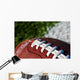 Football on Field Wall Mural