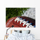 Football on Field Wall Mural