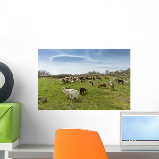 Herd Goats Countryside