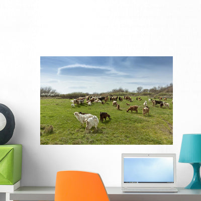 Herd Goats Countryside shown on a wall