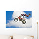 Motocross Freestyle Wall Mural