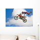 Motocross Freestyle Wall Mural