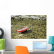 Lonely Boat Aground