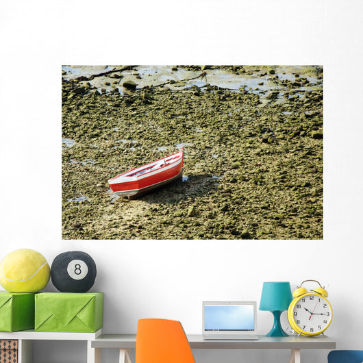 Lonely Boat Aground