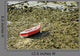 Lonely Boat Aground