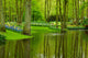Spring Garden Keukenhof Wall Mural