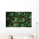 Texture Feathers Peacock
