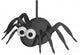 Halloween Spider