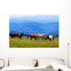 Mountains Landscape with Horses
