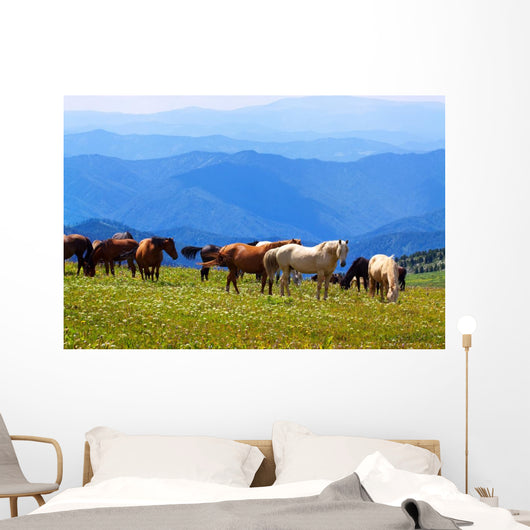 Mountains Landscape with Horses