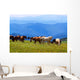 Mountains Landscape with Horses