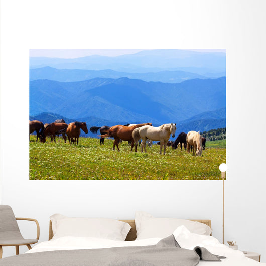 Mountains Landscape with Horses
