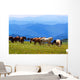 Mountains Landscape with Horses