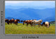 Mountains Landscape with Horses