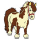 Pony