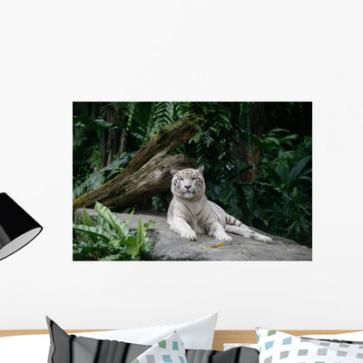White Tiger shown on a wall